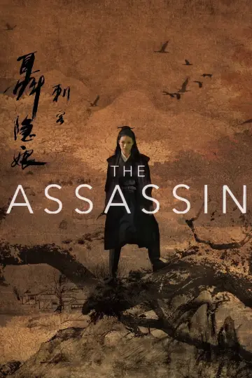 Poster to the movie "The Assassin" #150060