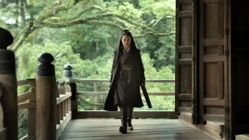 Backdrop to the movie "The Assassin" #283698