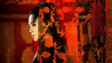 Backdrop to the movie "The Assassin" #283703
