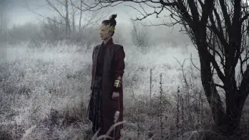 Backdrop to the movie "The Assassin" #283714
