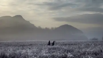 Backdrop to the movie "The Assassin" #943542