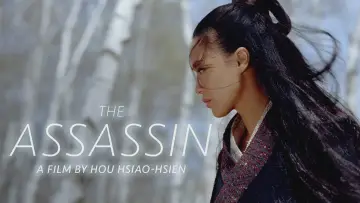 Backdrop to the movie "The Assassin" #943547
