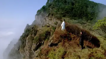 Backdrop to the movie "The Assassin" #943551