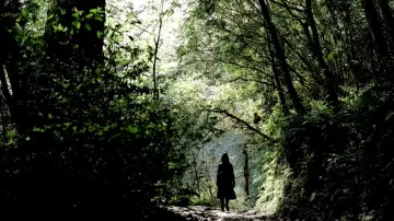 Backdrop to the movie "The Assassin" #943553