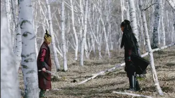 Backdrop to the movie "The Assassin" #943556