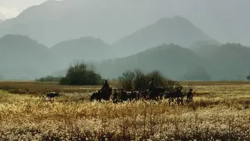 Backdrop to the movie "The Assassin" #943558