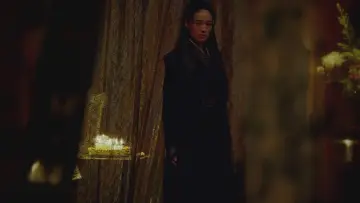 Backdrop to the movie "The Assassin" #943560