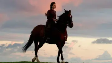 Backdrop to the movie "Far from the Madding Crowd" #1201100