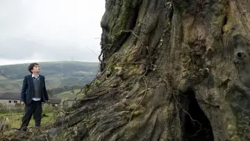 Backdrop to the movie "A Monster Calls" #228547