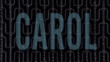 Backdrop to the movie "Carol" #685173