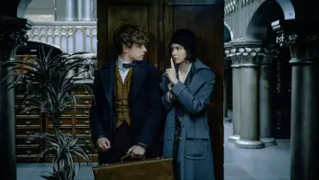 Backdrop to the movie "Fantastic Beasts and Where to Find Them" #1155876