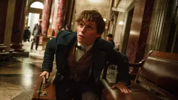 Backdrop to the movie "Fantastic Beasts and Where to Find Them" #960239
