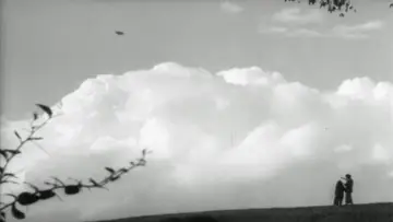Backdrop to the movie "The Passerine Bird" #1181654