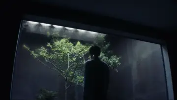 Backdrop to the movie "Ex Machina" #587533