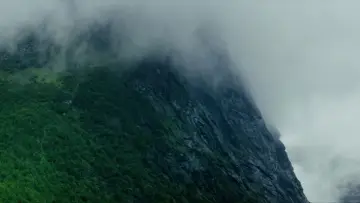 Backdrop to the movie "Ex Machina" #587595