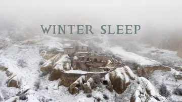 Backdrop to the movie "Winter Sleep" #206020