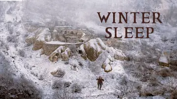 Backdrop to the movie "Winter Sleep" #985816