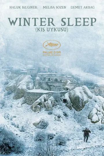 Poster to the movie "Winter Sleep" #985829