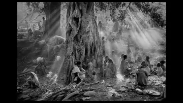 Backdrop to the movie "The Salt of the Earth" #1084333
