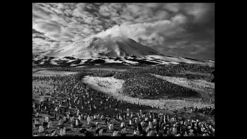 Backdrop to the movie "The Salt of the Earth" #1084334