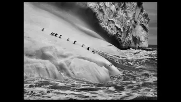 Backdrop to the movie "The Salt of the Earth" #1084335