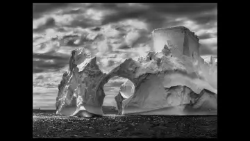 Backdrop to the movie "The Salt of the Earth" #1084336