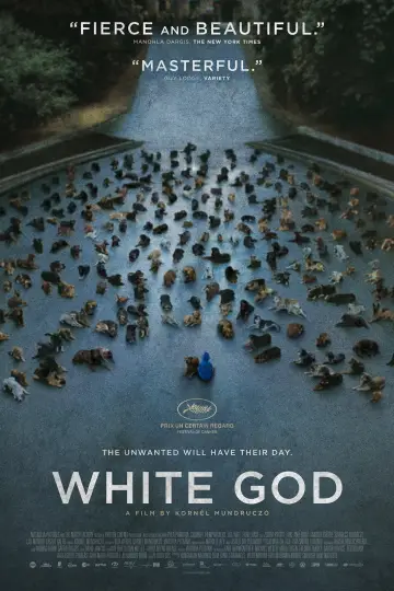 Poster to the movie "White God" #276211