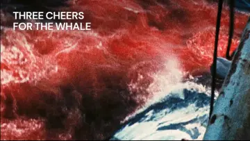 Backdrop to the movie "Three Cheers for the Whale" #1574441
