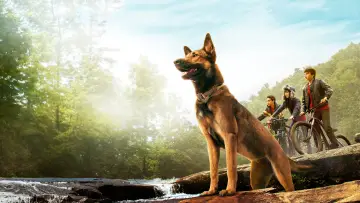 Backdrop to the movie "Max" #1165637