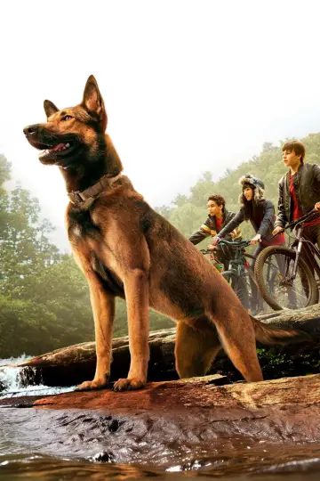 Poster to the movie "Max" #887820