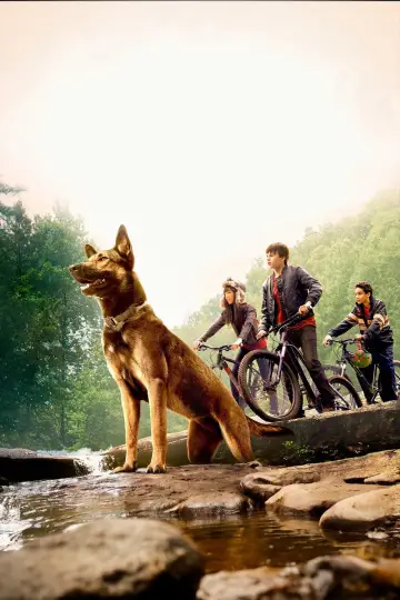 Poster to the movie "Max" #887821