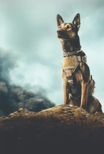 Poster to the movie "Max" #887822