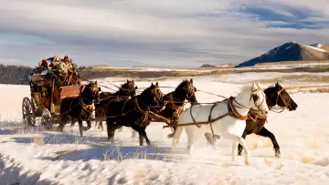 Backdrop to the movie "The Hateful Eight" #582669