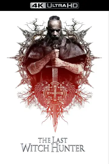 Poster to the movie "The Last Witch Hunter" #714452