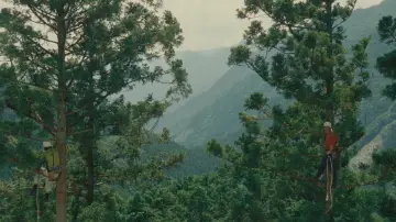 Backdrop to the movie "Wood Job!" #1123512