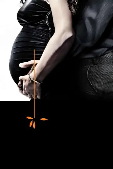 Poster to the movie "Return to Zero" #1067407
