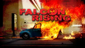 Backdrop to the movie "Falcon Rising" #144763