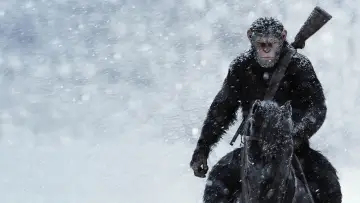 Backdrop to the movie "War for the Planet of the Apes" #235033