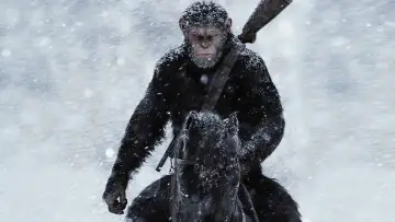Backdrop to the movie "War for the Planet of the Apes" #416228
