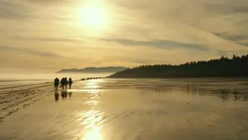 Backdrop to the movie "War for the Planet of the Apes" #585939
