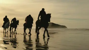 Backdrop to the movie "War for the Planet of the Apes" #585948