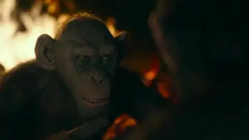 Backdrop to the movie "War for the Planet of the Apes" #585949