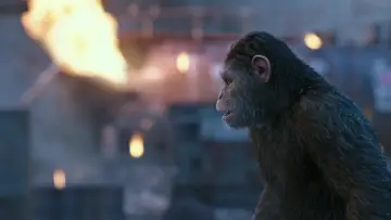Backdrop to the movie "War for the Planet of the Apes" #585959