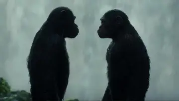 Backdrop to the movie "War for the Planet of the Apes" #585960