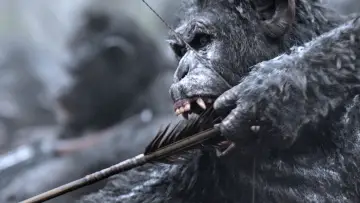 Backdrop to the movie "War for the Planet of the Apes" #585976