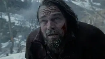 Backdrop to the movie "The Revenant" #516922
