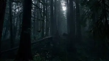 Backdrop to the movie "The Revenant" #516932