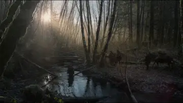 Backdrop to the movie "The Revenant" #516963