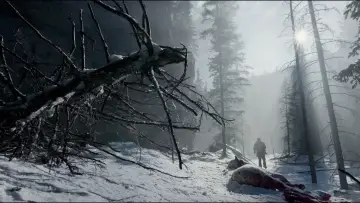 Backdrop to the movie "The Revenant" #516970