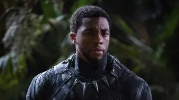 Backdrop to the movie "Black Panther" #219811
